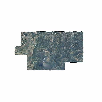 Export Image